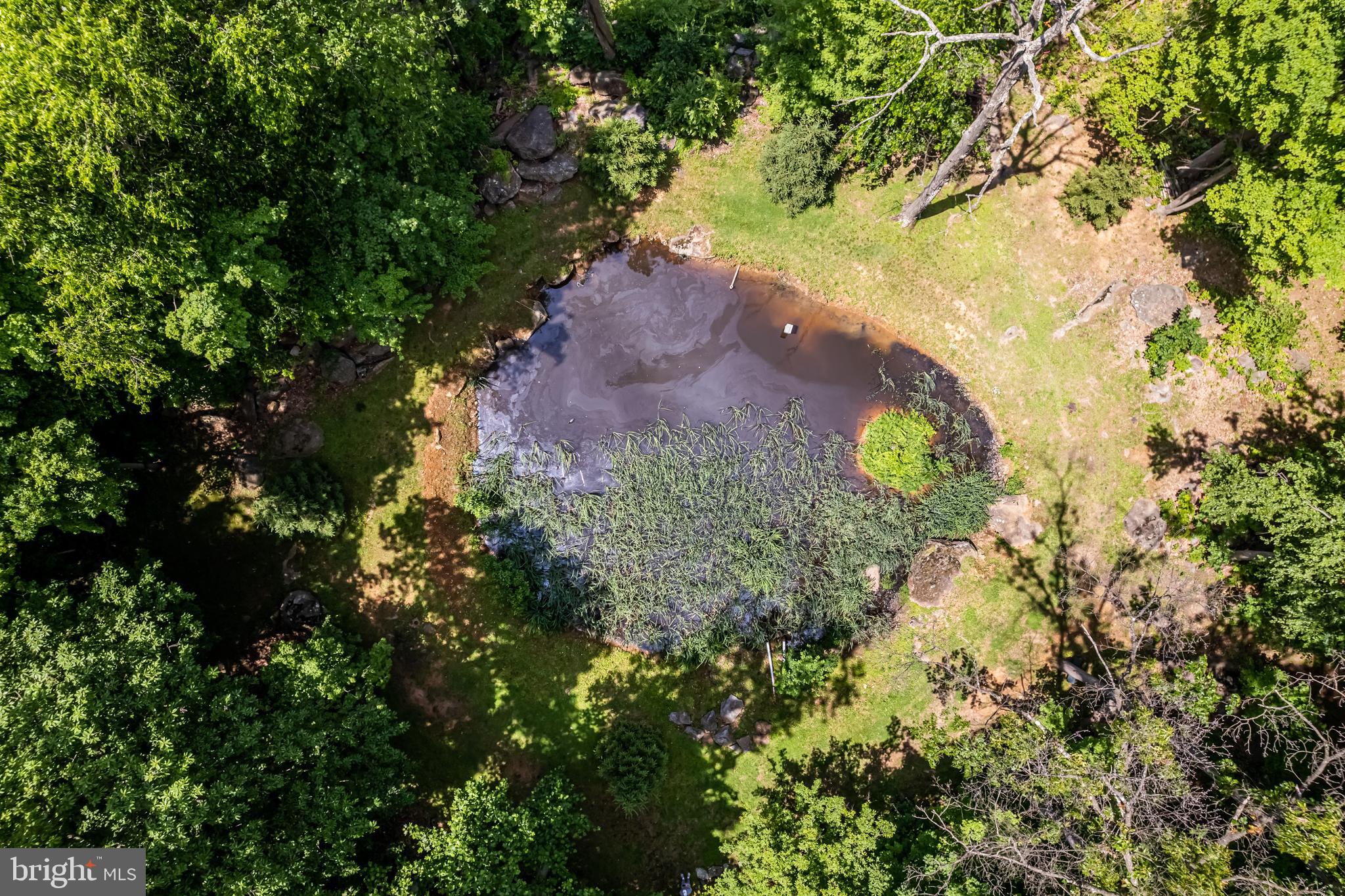 1949 Upper Ridge Road Green Lane, PA 18054 - Photo 65 of 92 Stocked pond