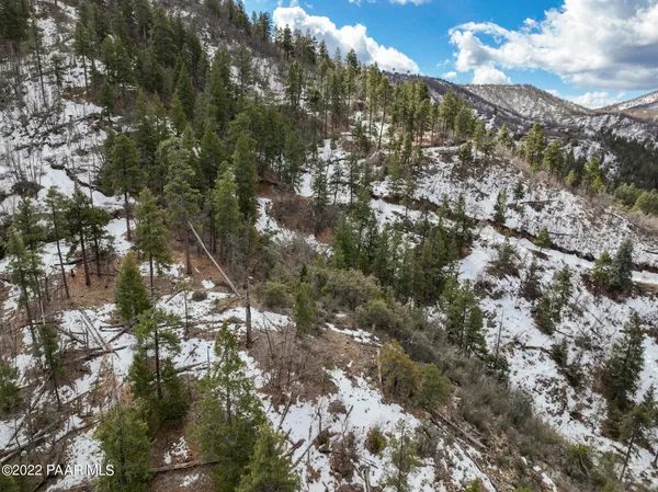 $50,000 | 0 South Lazy Days Drive, Mayer, AZ 86333