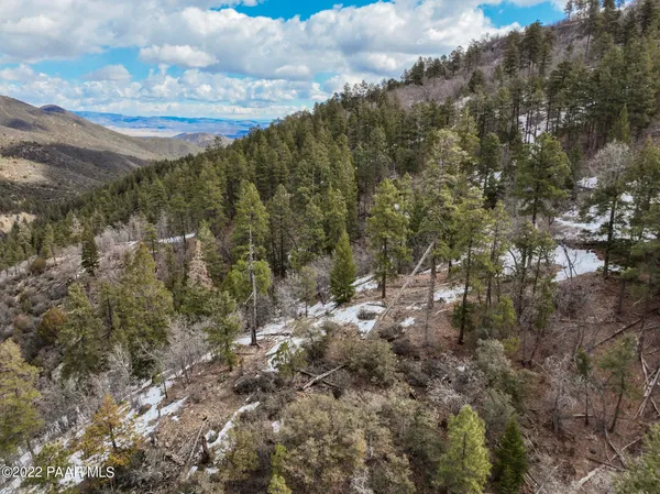 $50,000 | 0 South Lazy Days Drive, Mayer, AZ 86333