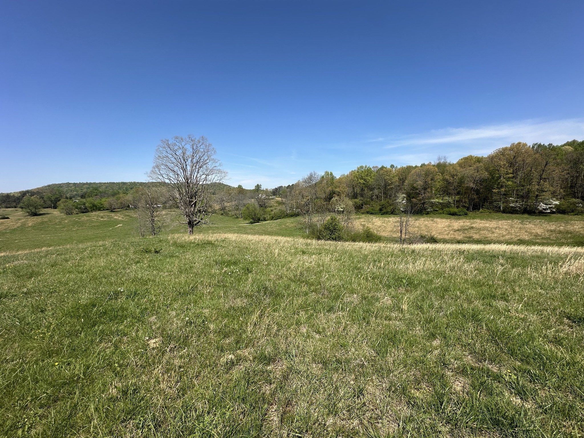 515 Jericho Road Quebeck, TN 38579 - Photo 19 of 54 Gallery Image 19