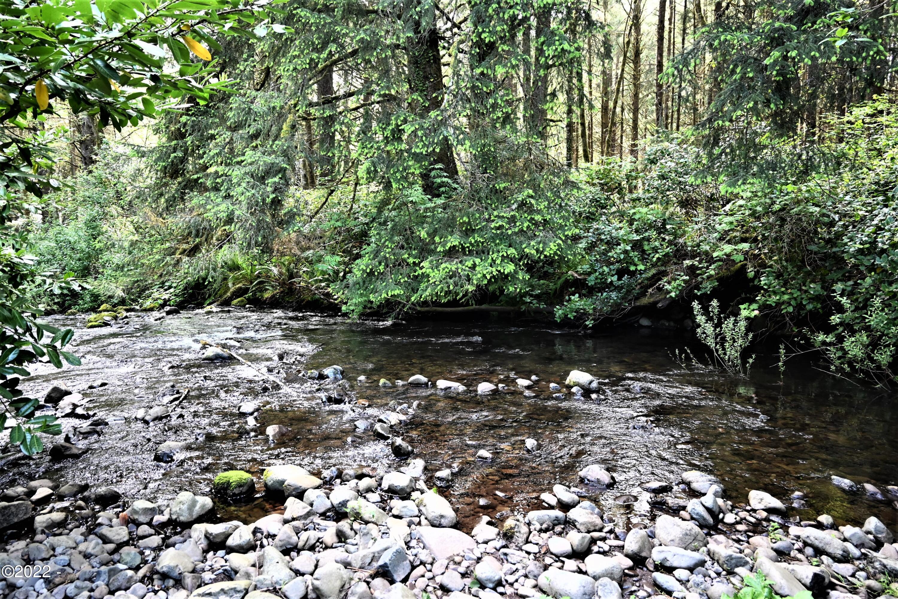 5489 South Bob Creek Road Yachats, OR 97498 - Photo 3 of 12 Bob Creek