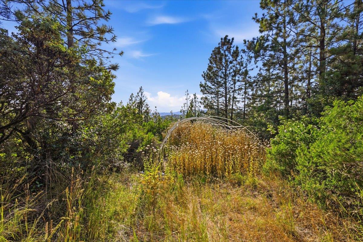 17436 Black Forest Road Penn Valley, CA 95946 - Photo 13 of 36