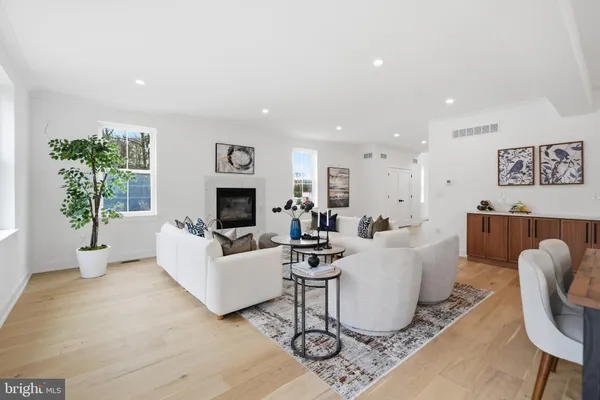 a living room with furniture potted plant and a fireplace