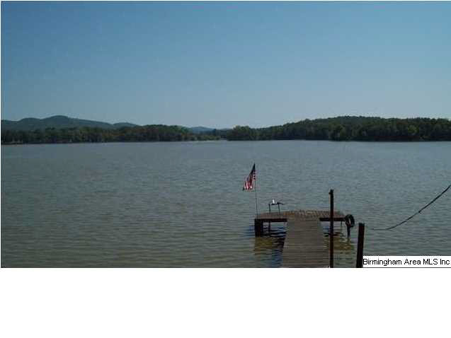 35 County Road 714 Cedar Bluff, AL 35959 - Photo 4 of 6