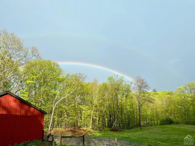 a view of a yard with an outdoor space