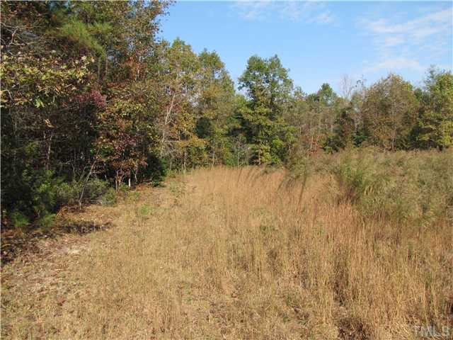 Spring Creek Road Castalia, NC 27816 - Photo 3 of 6 Photo 3