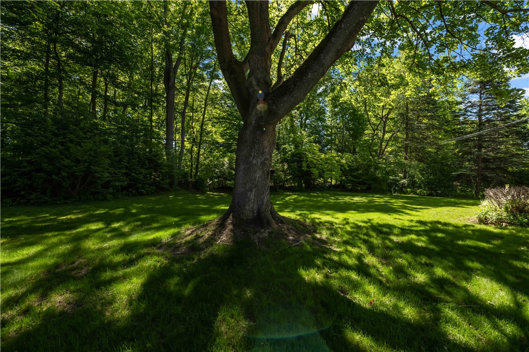 25 Red Bud Road Chili, NY 14624 - Photo 30 of 32