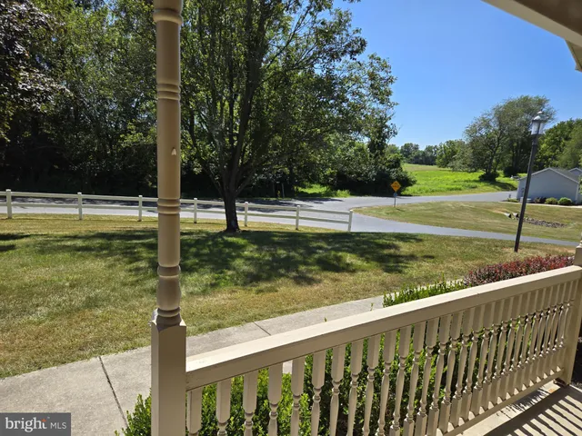 a view of a yard with large trees