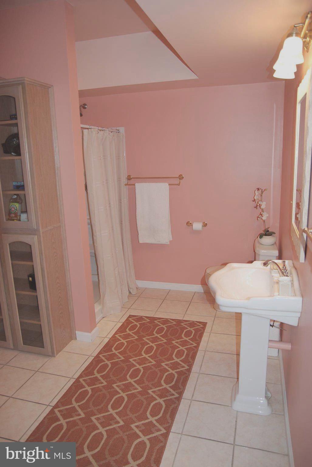 50705 Holly Point Road Dameron, MD 20628 - Photo 23 of 25 main level full bath