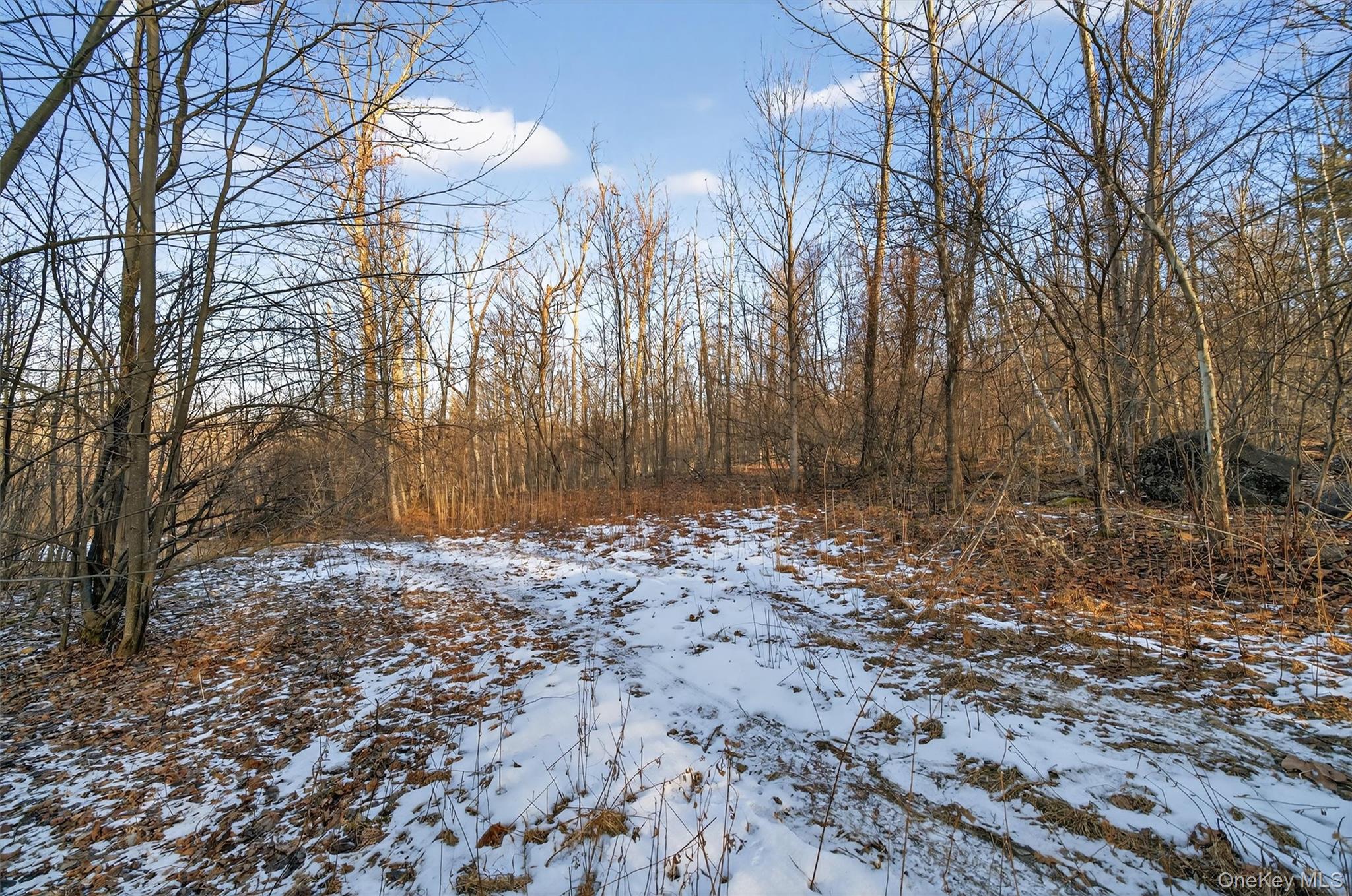 Tbd Eatontown Road Port Jervis, NY 10940 - Photo 13 of 25 a backyard of a house