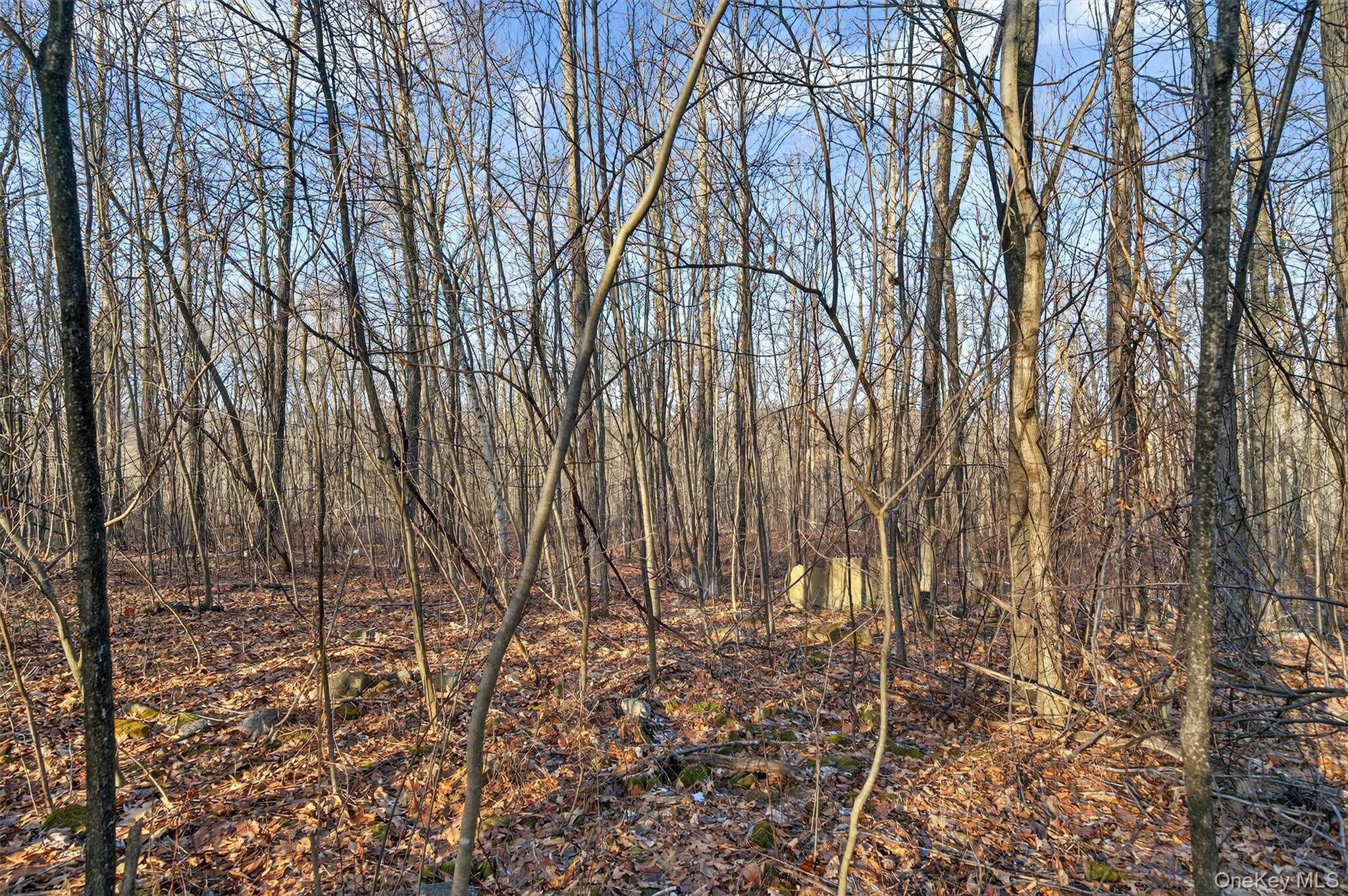 Tbd Eatontown Road Port Jervis, NY 10940 - Photo 14 of 25 a backyard of a house with lots of green space