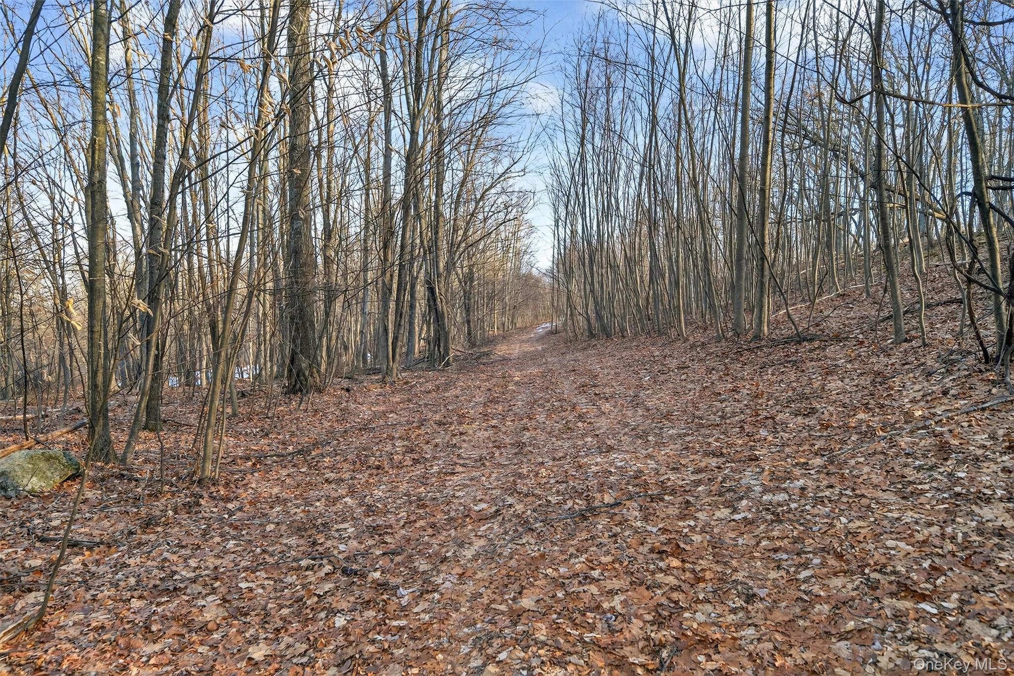 Tbd Eatontown Road Port Jervis, NY 10940 - Photo 15 of 25 a view of a yard with large trees