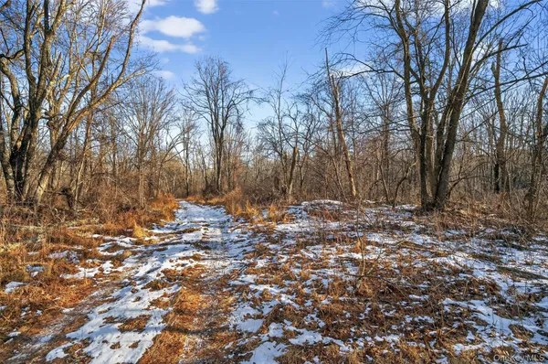 a view of outdoor space with lots of trees