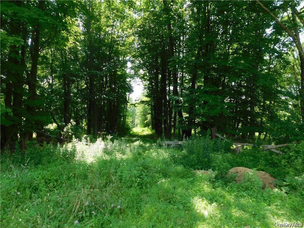 Tbd Eatontown Road Port Jervis, NY 10940 - Photo 7 of 8 a backyard of a house with lots of green space