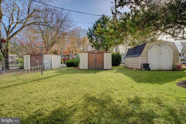 a view of a backyard with large trees