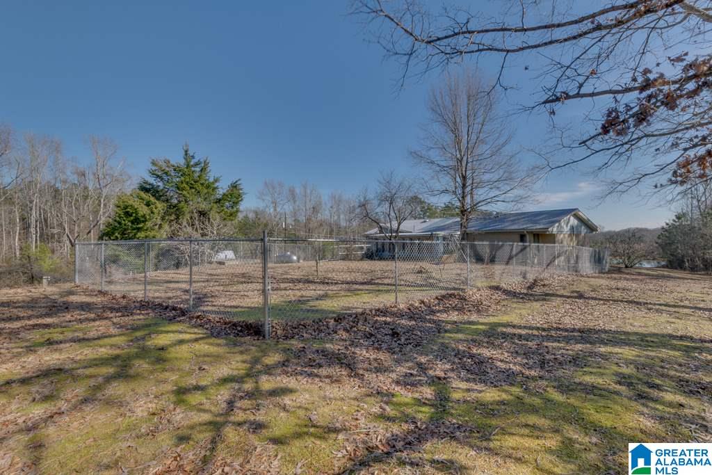 434 County Road 403 Clanton, AL 35045 - Photo 39 of 50
