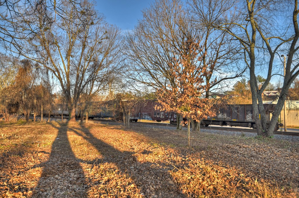 418 Ada Street Blue Ridge, GA 30513 - Photo 3 of 6 Gallery Image 3