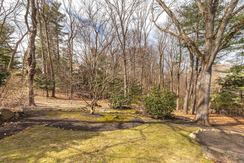 11 Eliot Road Lexington, MA 02421 - Photo 32 of 36 a view of yard with trees