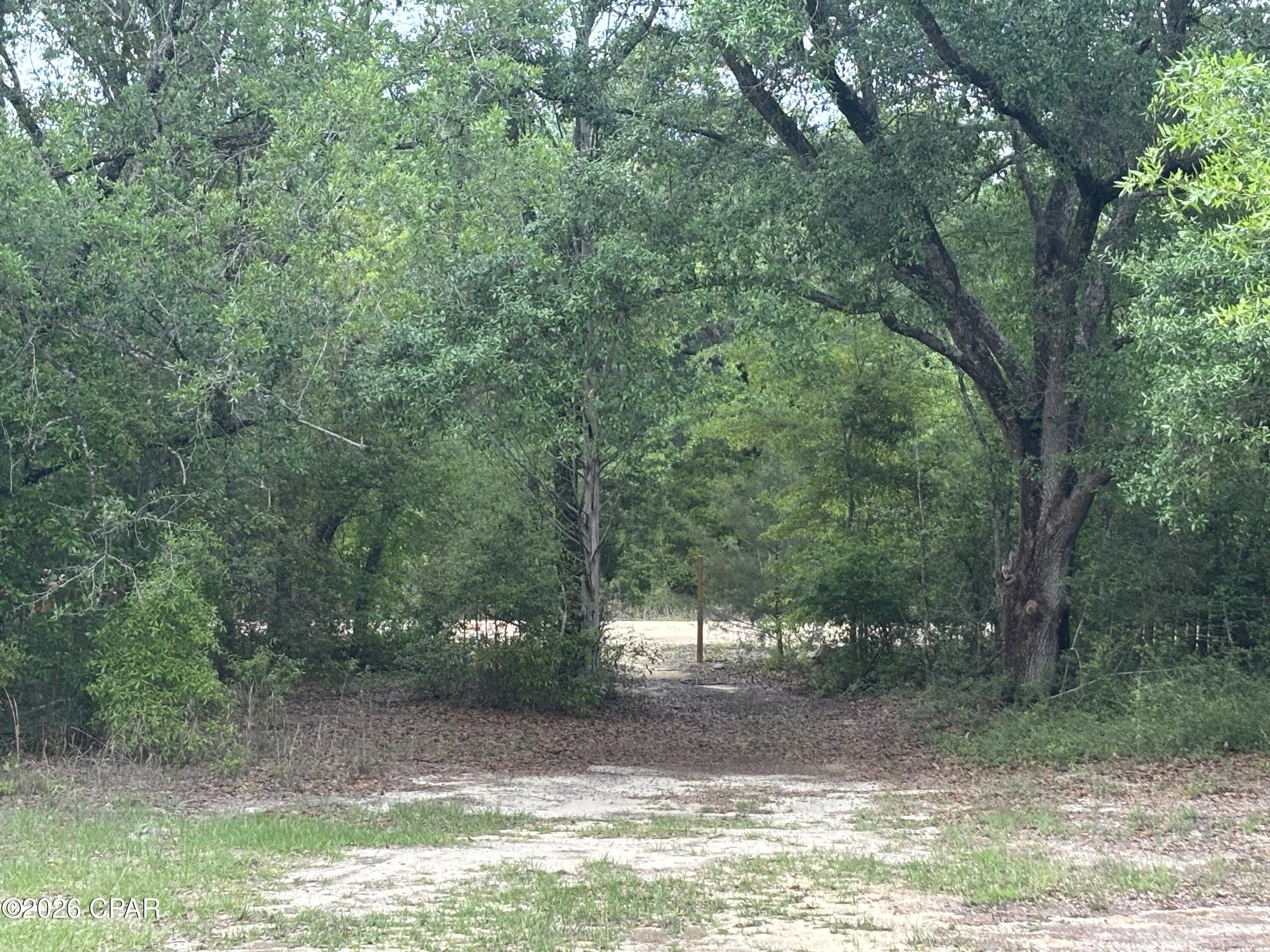 3561 Elm Road Marianna, FL 32448 - Photo 12 of 13