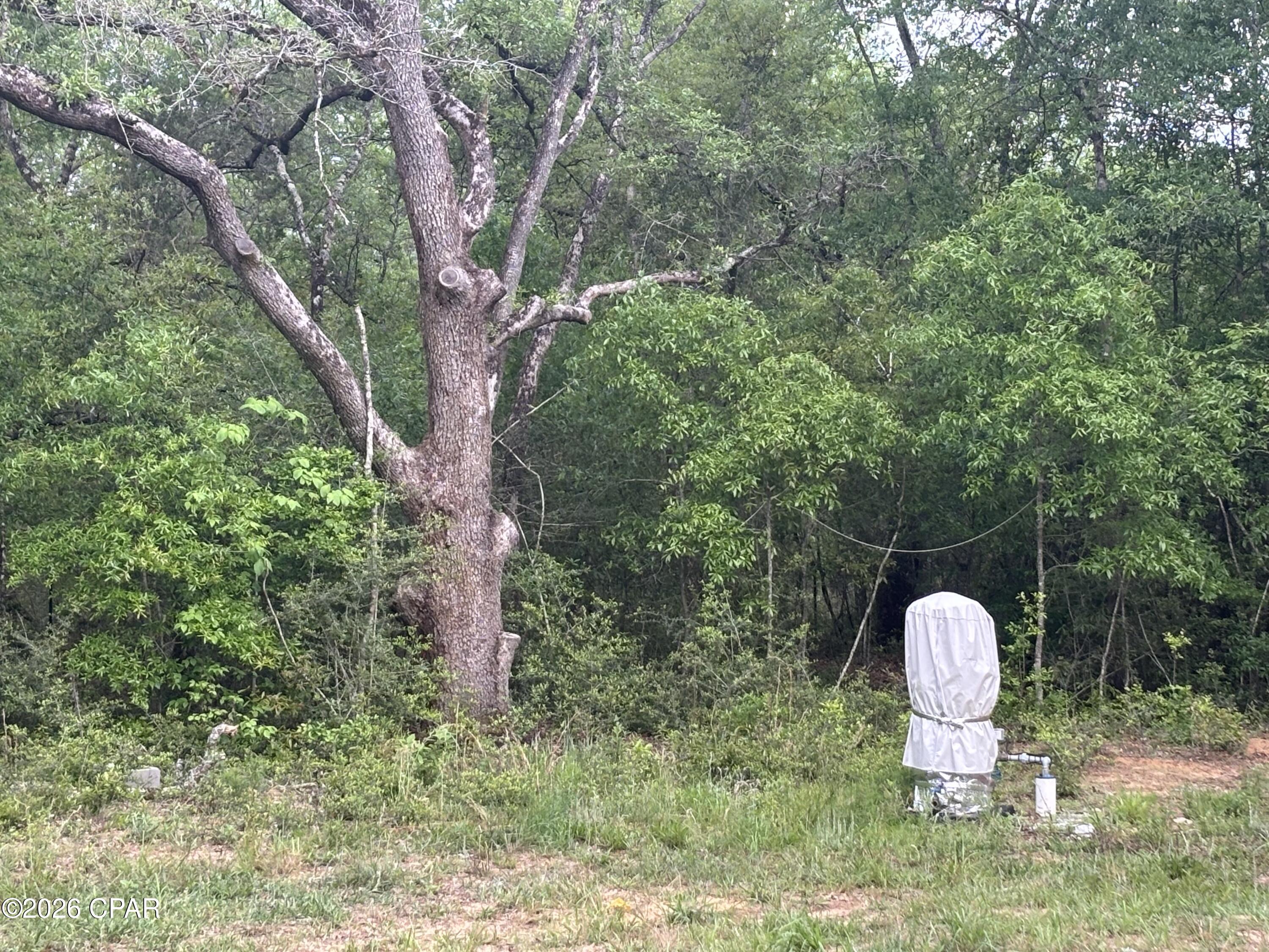 3561 Elm Road Marianna, FL 32448 - Photo 13 of 13