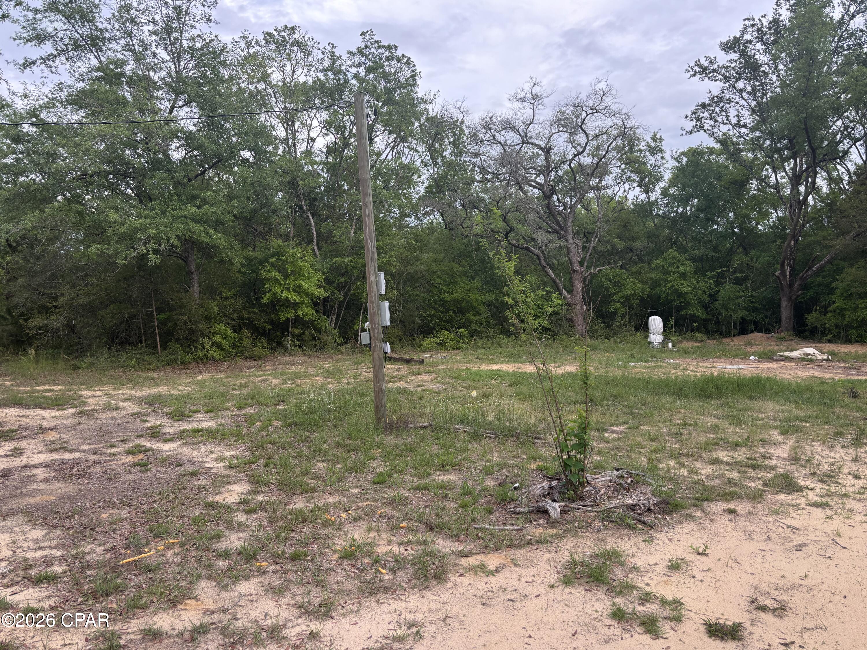 3561 Elm Road Marianna, FL 32448 - Photo 5 of 13