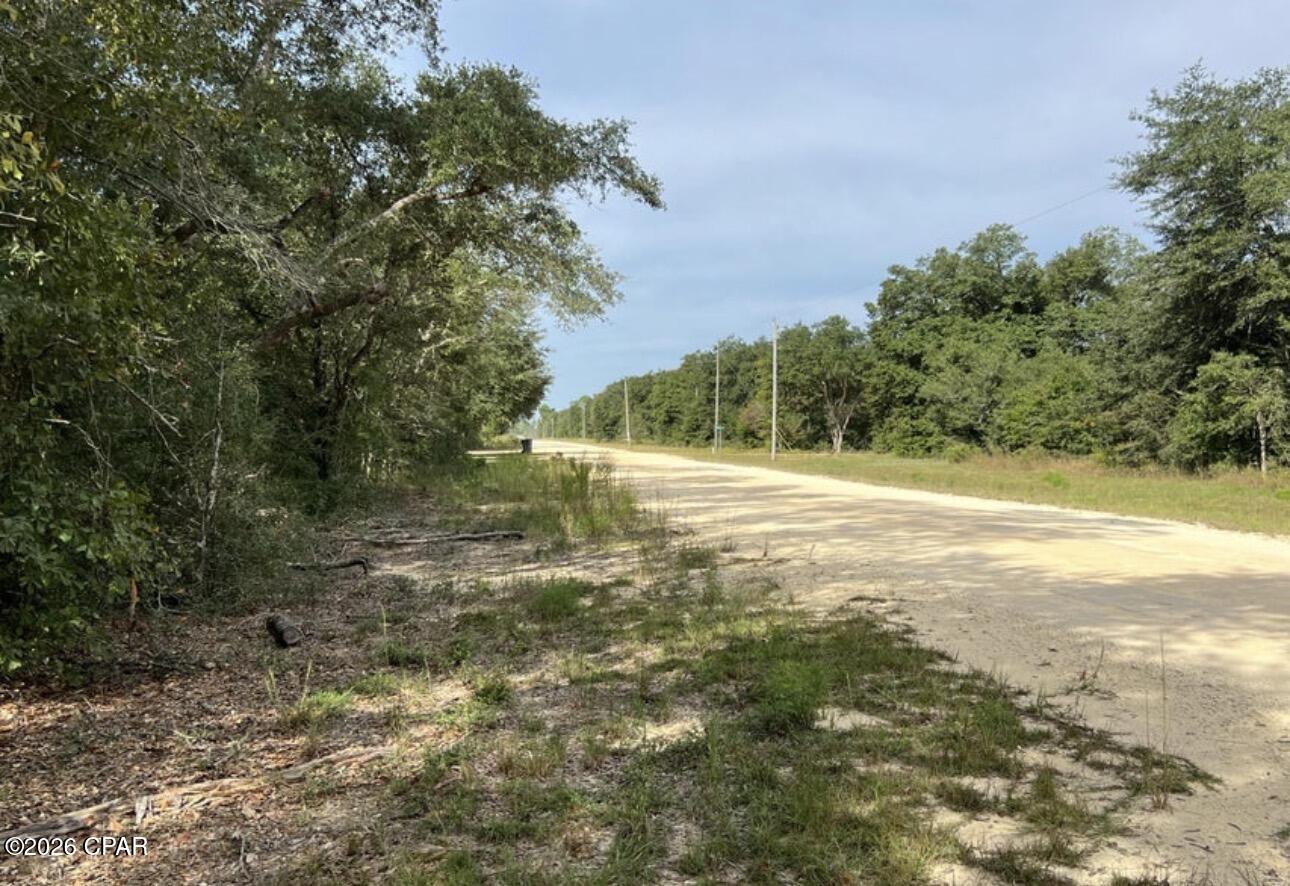 3561 Elm Road Marianna, FL 32448 - Photo 7 of 13