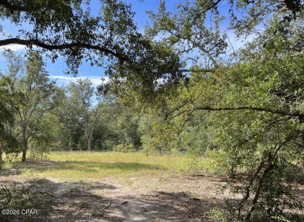 3561 Elm Road Marianna, FL 32448 - Photo 8 of 13