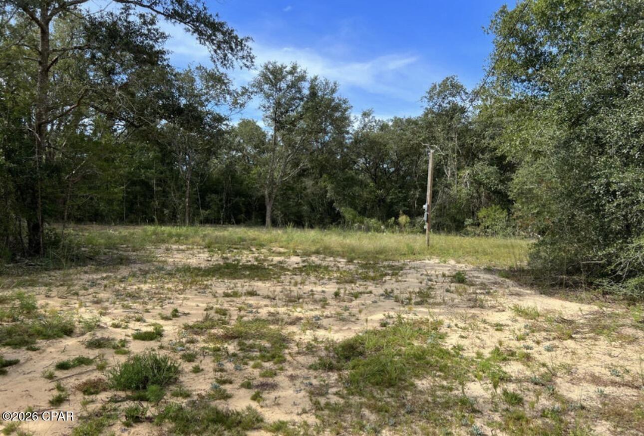 3561 Elm Road Marianna, FL 32448 - Photo 9 of 13