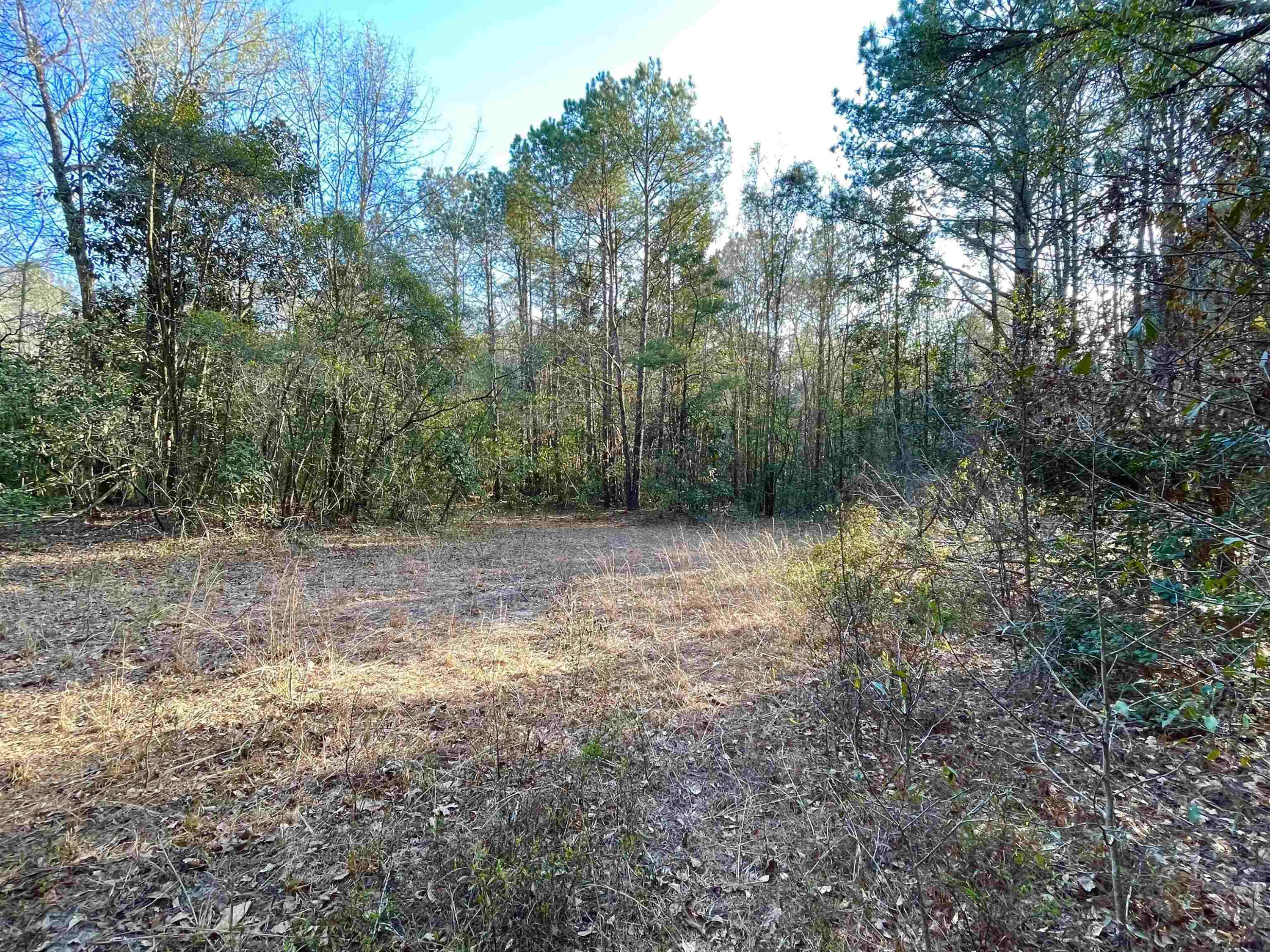 1795 Bowdens Road Warsaw, NC 28398 - Photo 15 of 26 Photo 15