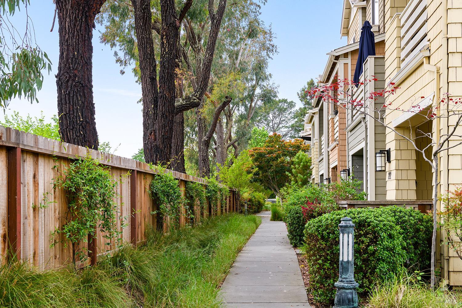 228 Johnson Street Windsor, CA 95492 - Photo 2 of 32 a view of a garden with a fountain