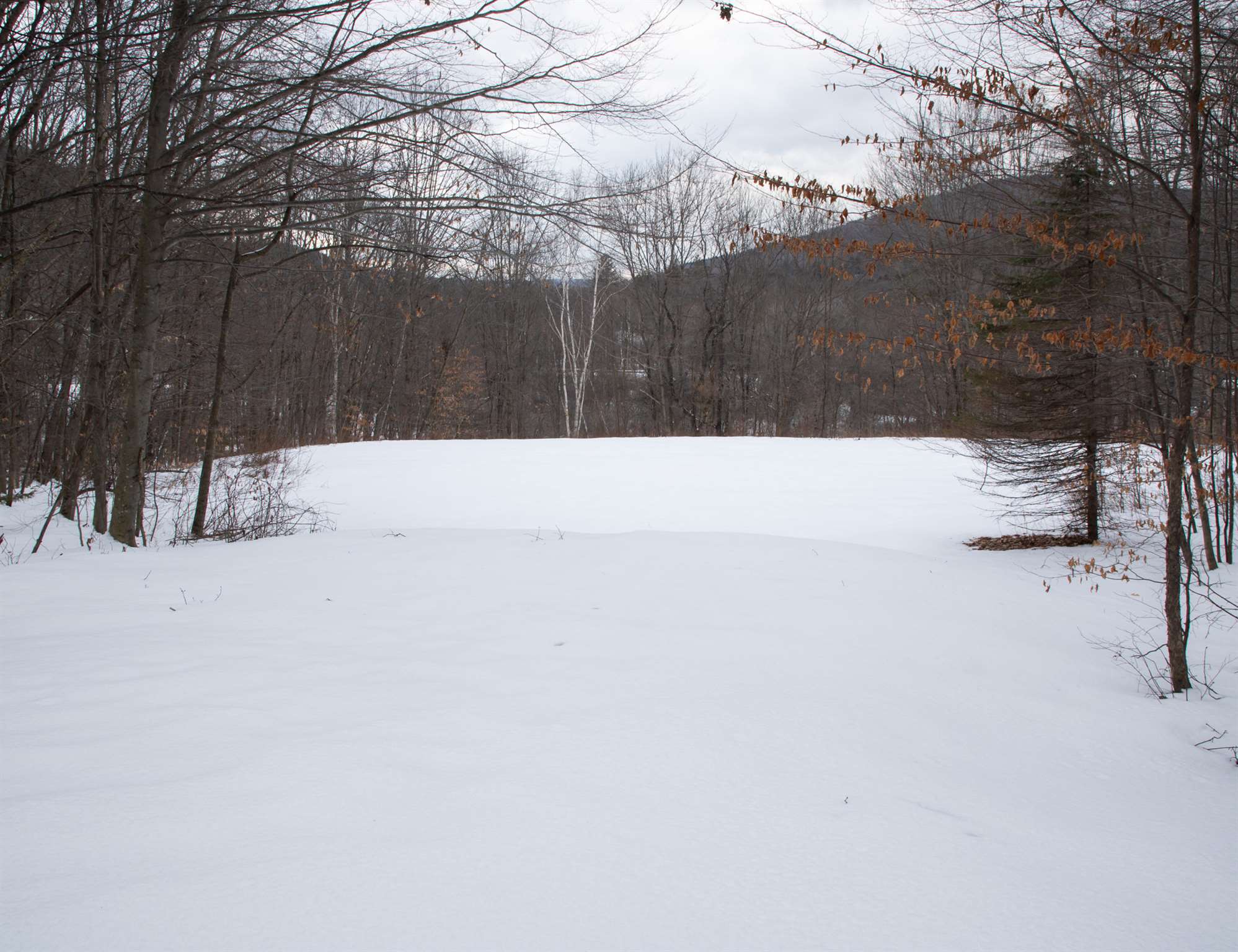 115 Salt Ash Road, Unit SA 225 Plymouth, VT 05056 - Photo 28 of 31