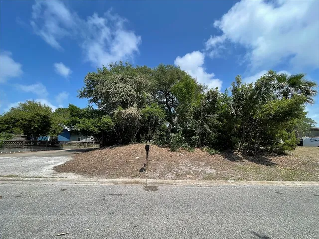 a view of a dry yard with trees
