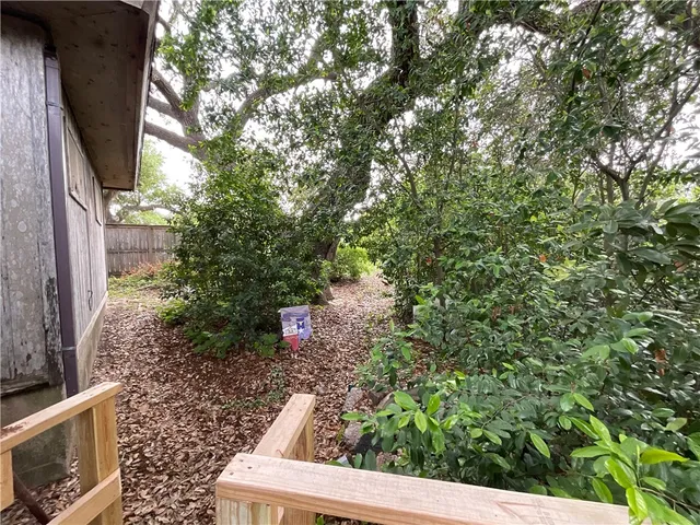 a view of a yard with plants and wooden fence