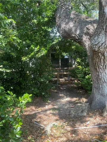 a view of a yard with plants and trees