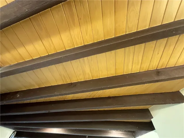 a close view of backyard