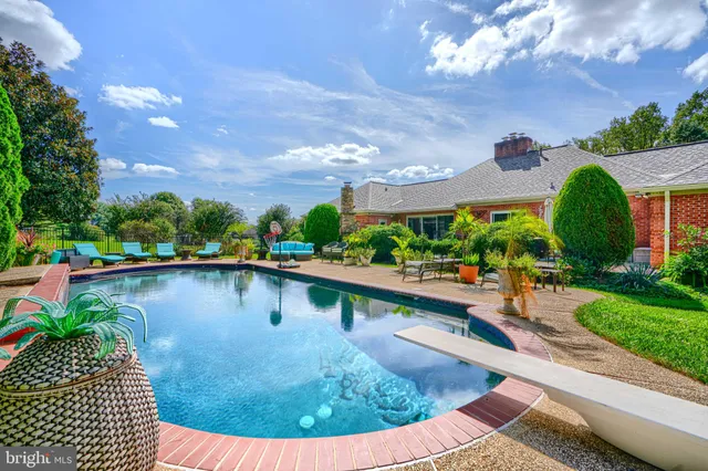 a view of a swimming pool with a patio and plants