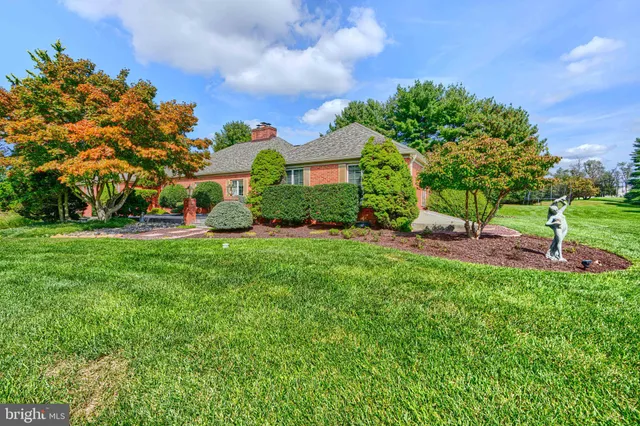 a view of a park with large trees