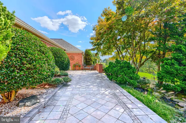 a view of a back yard