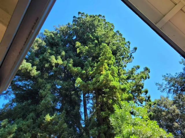 a view of an outdoor space