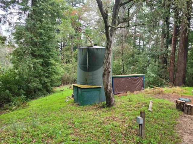 a view of outdoor space and yard