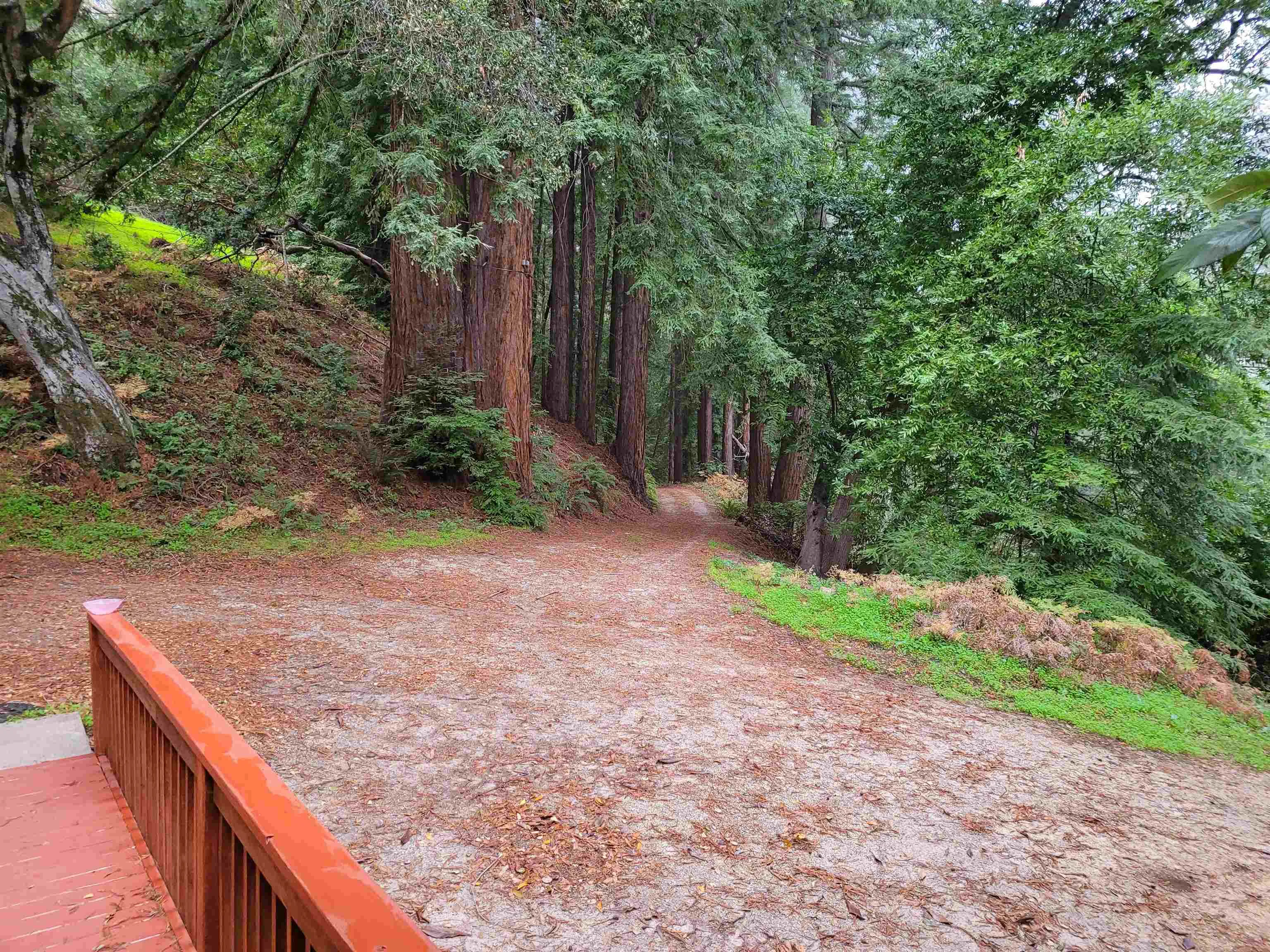 16885 Laurel Road Los Gatos, CA 95033 - Photo 33 of 40 a view of outdoor space and yard