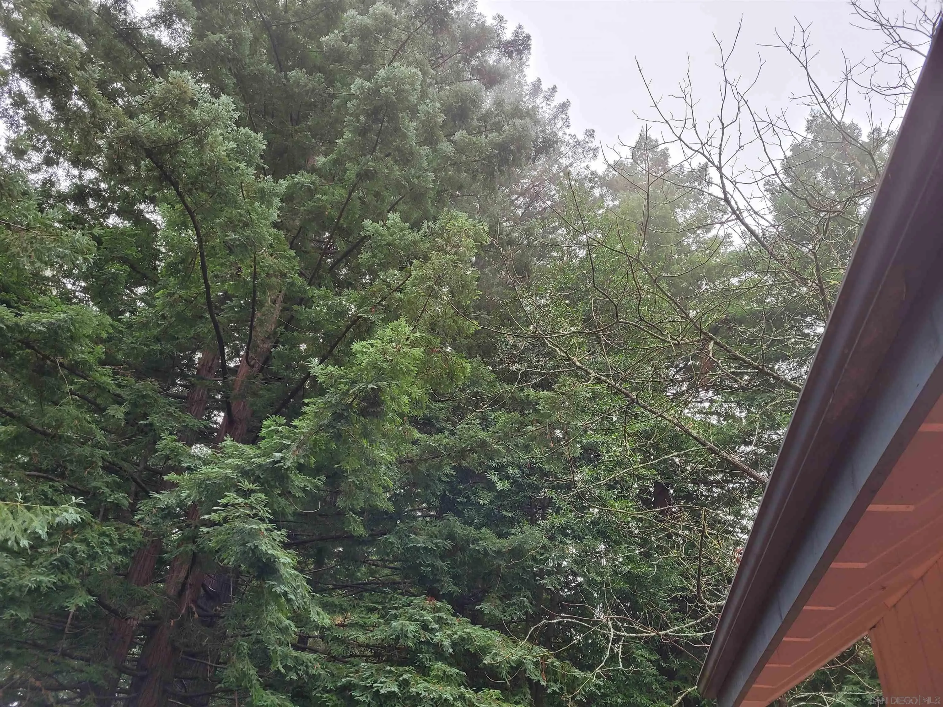 16885 Laurel Road Los Gatos, CA 95033 - Photo 34 of 40 a view of a yard from a window