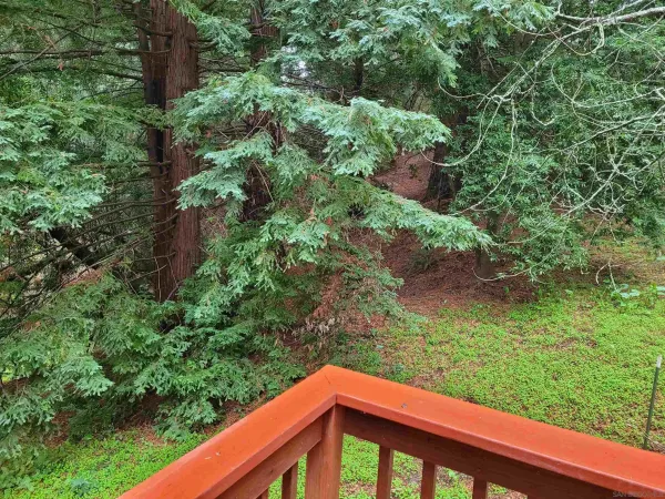 a view of an outdoor space and yard