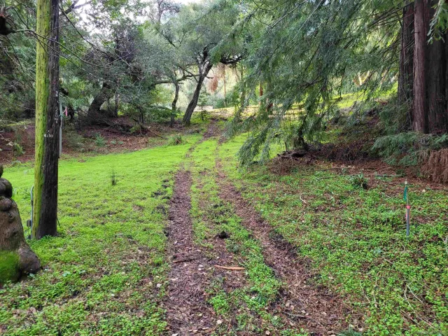 $6,950 | 16885 Laurel Road, Los Gatos, CA 95033