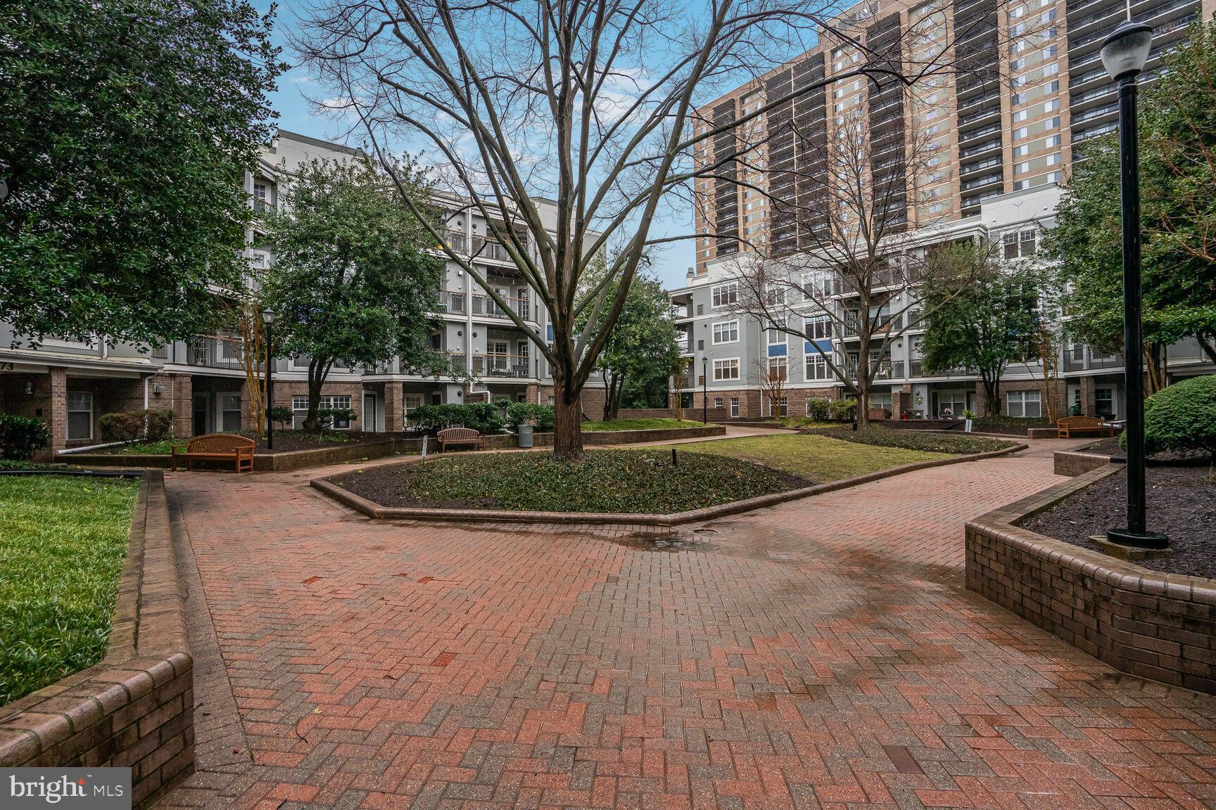 5575 Seminary Road, Unit 213 Falls Church, VA 22041 - Photo 1 of 77 Welcome to Savoy Park Condominium & Welcome Home!