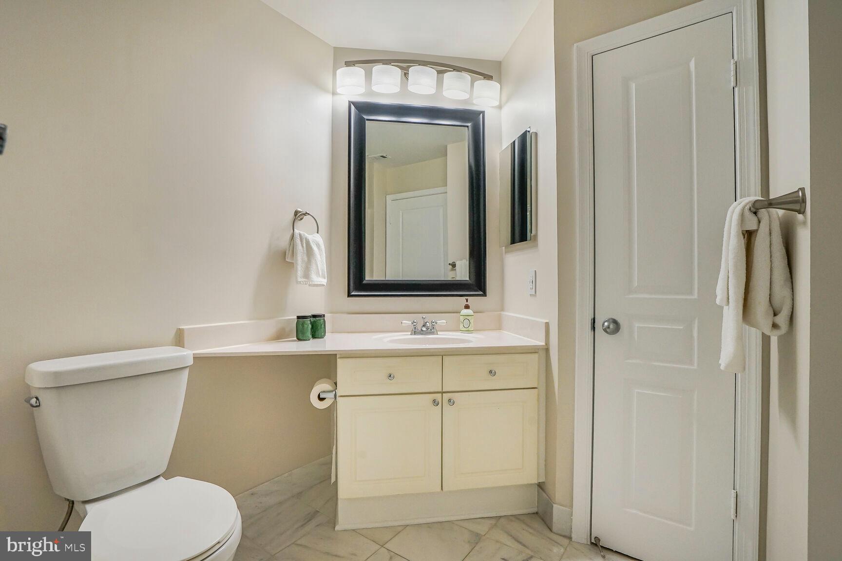 5575 Seminary Road, Unit 213 Falls Church, VA 22041 - Photo 34 of 77 Primary Bath - Ample Counter Space + Linen Closet!