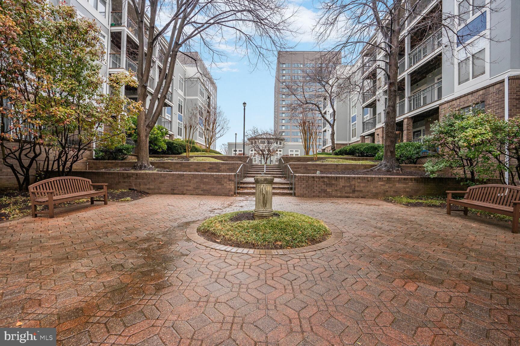 5575 Seminary Road, Unit 213 Falls Church, VA 22041 - Photo 4 of 77 Savoy Park Boasts Really Beautiful Landscaping!