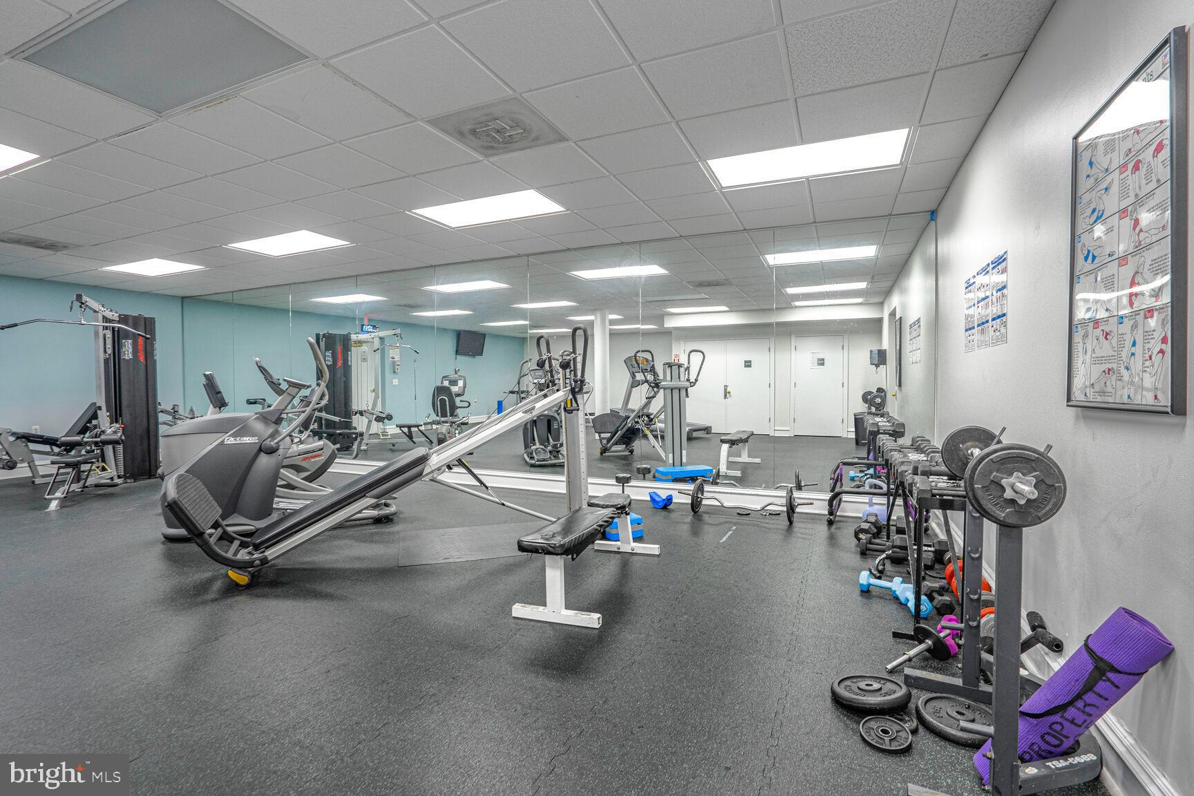 5575 Seminary Road, Unit 213 Falls Church, VA 22041 - Photo 65 of 77 On-Site Fitness Center with Cardio & Weights!