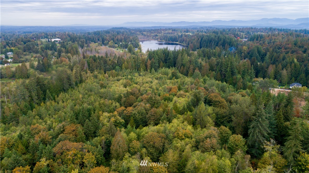 16825 Three Lakes Road Snohomish, WA 98290 - Photo 31 of 32 an aerial view of residential houses with outdoor and green space