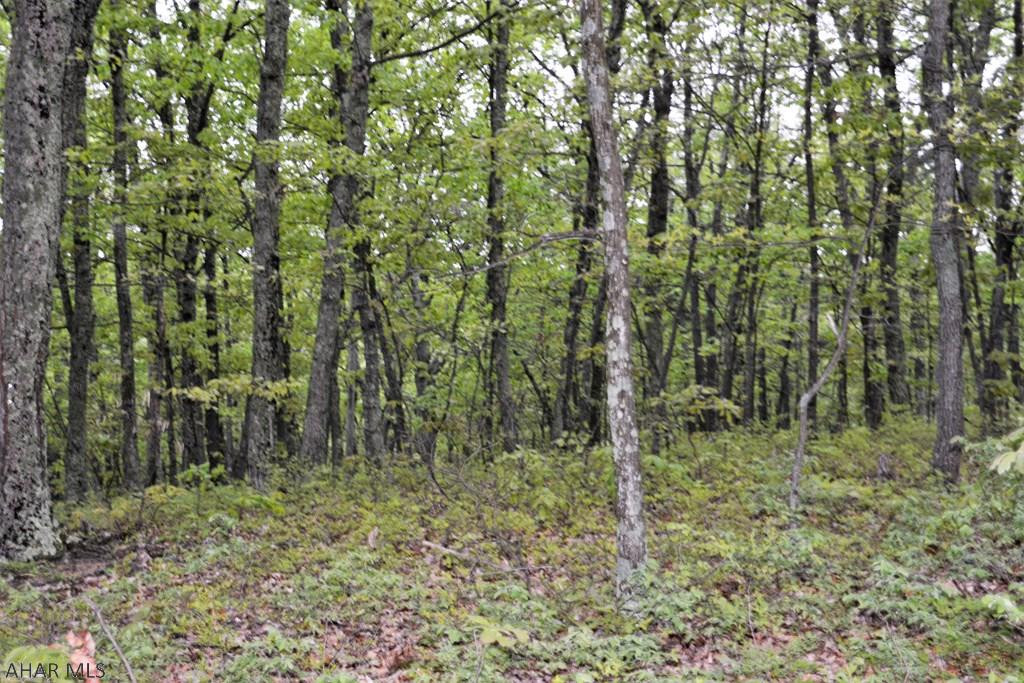 Lot 23 Pine Ridge Road Hyndman, PA 15545 - Photo 12 of 18 Gallery Image 12